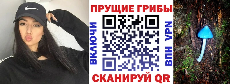 Псилоцибиновые грибы Cubensis  Купить  Облучье 